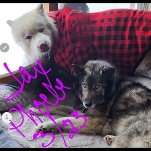 My Lil Stinker Loves Jax & Pheobe NFS!!!